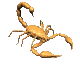 a scorpio zithunzi-zojambula-gif